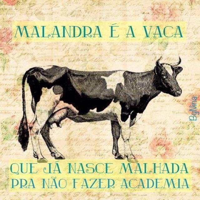 Malandra é a vaca