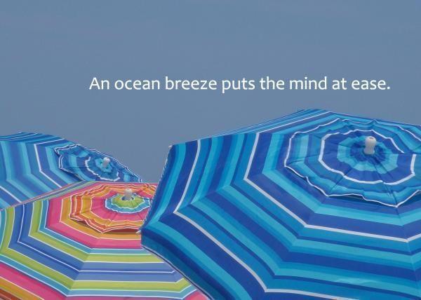 An ocean breeze