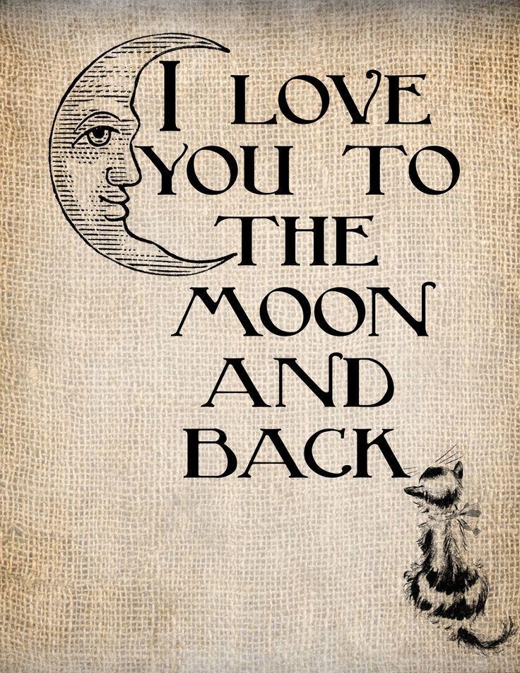 The moon and back