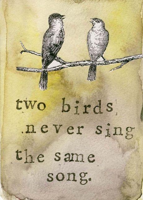 Two birds never