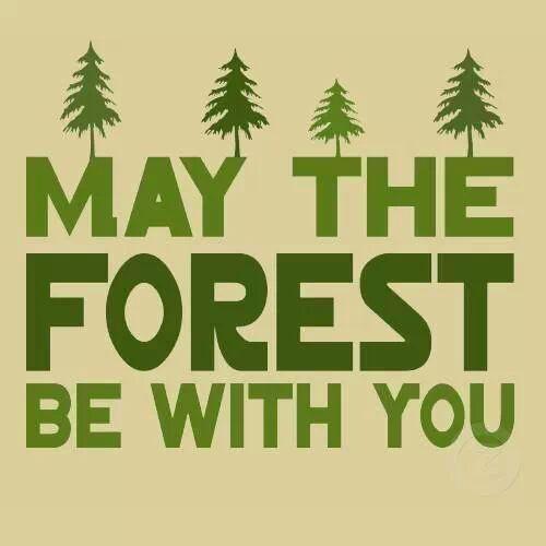 May the forest