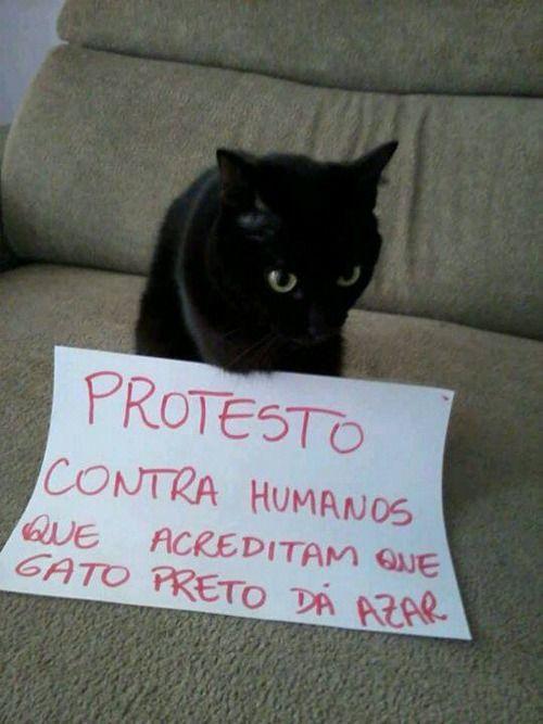Protesto contra humanos